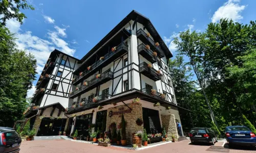 Hotel Posada Vidraru