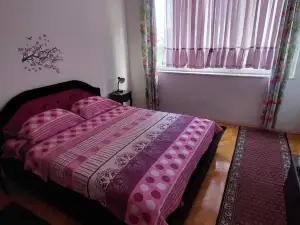 Stan na Dan Novi Grad