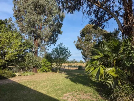 The Cudgee at Mudgee