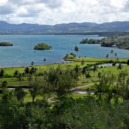 Résidence Hotellière le Manguier Panoramique