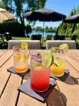 Hotel Dolphin - Adult Friendly - Bars