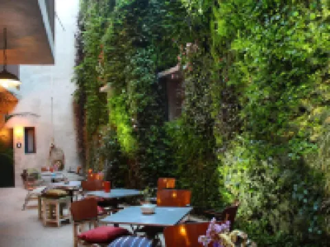 クック ホテル タリファ タリファのホテル