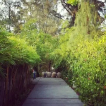 Villa Louise Hue Beach Boutique Hotel