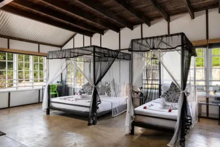 Tea and Experience Factory - Thema Collection