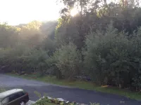 Pension Gesundbrunnen Hotels in Dohna