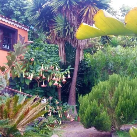 Casa Ida