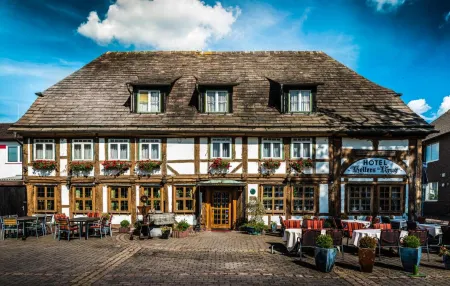 Hotel Hellers Krug Отели в г. Дильмиссен