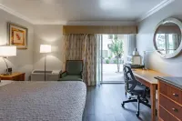 Aloha Inn