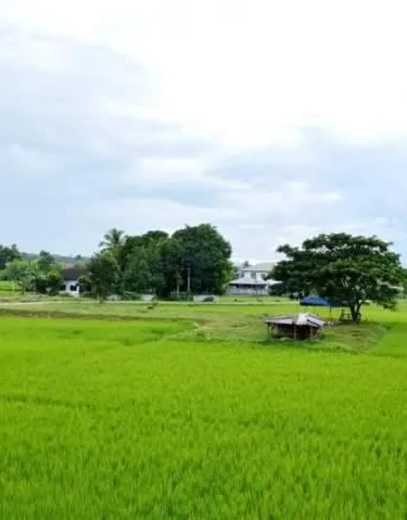 รูปภาพของPernjai Homestay บ้านคำข้อน