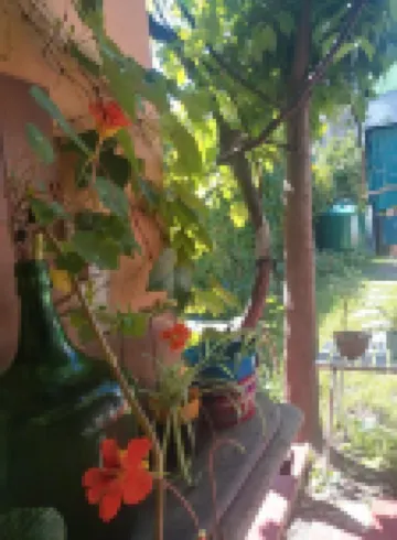 En la Plata Hostel El Pampa Hotels in 