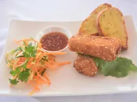 香料宮殿酒店 桑給巴爾市酒店
