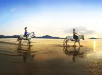 Loreto Bay Golf & Sea at Baja - Beach