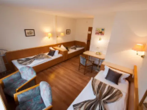 ホテル エクセルシオール カッセルのホテル