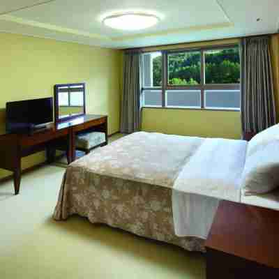 한화리조트 평창 Rooms