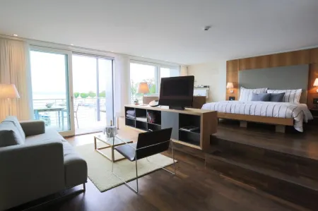 Marina Lachen Отели в г. Рапперсвиль