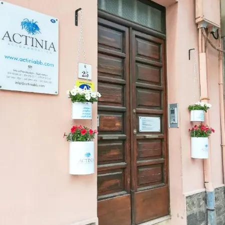Actinia Accommodation