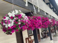 Twin Creeks Motel