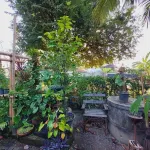 Baan Baan Hostel