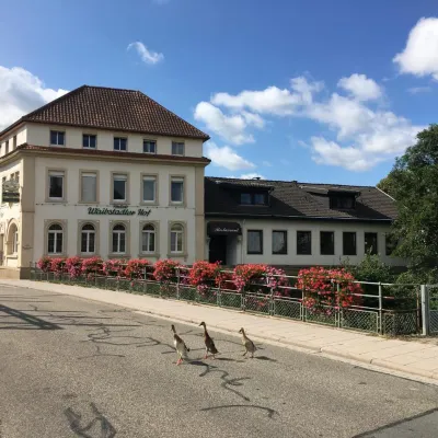 Hotel Waibstadter Hof Hotels near PreZero Arena