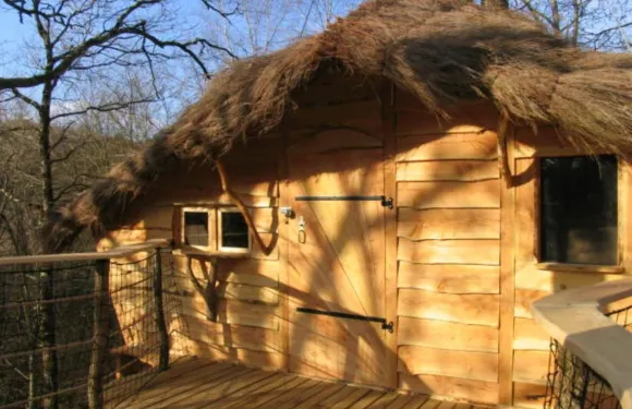 常春藤之夜度假屋