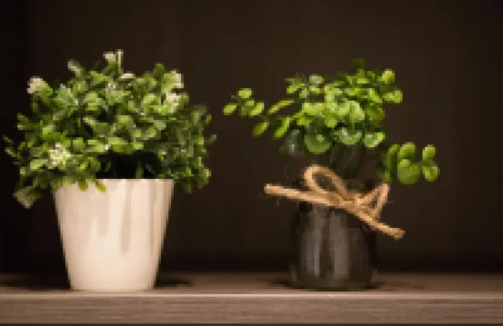 Classy Design Accommodation