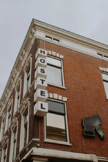 King Kong Hostel
