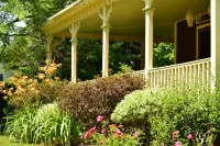 Ivy Lodge Hotels in 