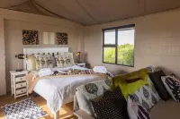 Thali Thali Game Lodge - Lodges