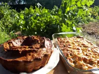 Kemerbag 29 Guest House 12 Yaş Üstü