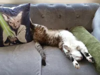 Hotel le Centre Hotels in Gramat