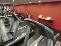 โรงแรม ไนแอการา ฟอลส์วิว - ที่มีฟิตเนส