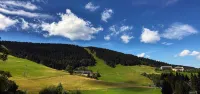 Chalet & Apart Fichtelberger Blick - Wifi