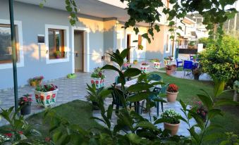 Green Garden Villa