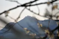 L'Airone Country House Hotel a Sant'Elia Fiumerapido