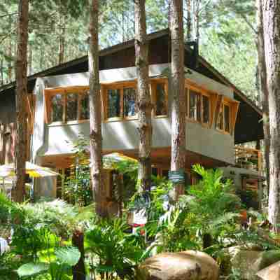 Mo Stay - Forest Resort Hotel Exterior