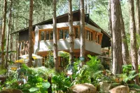 Mo Stay - Forest Resort Hotels in Ta Nung