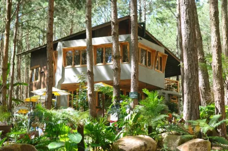 Mo Stay - Forest Resort Отели в г. Ta Nung