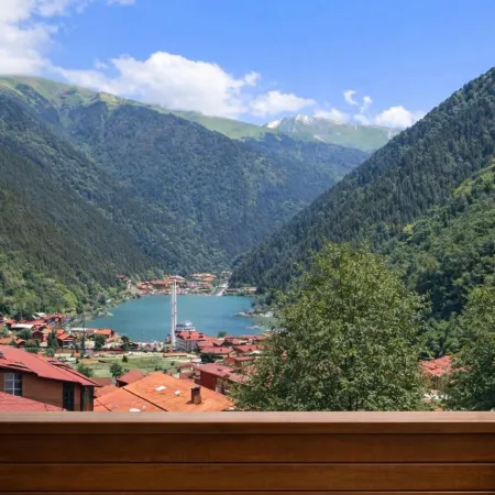 İmera Suite