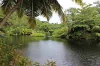 Le Chevalier Bay Guesthouse