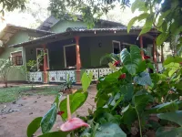 Green Bamboo House