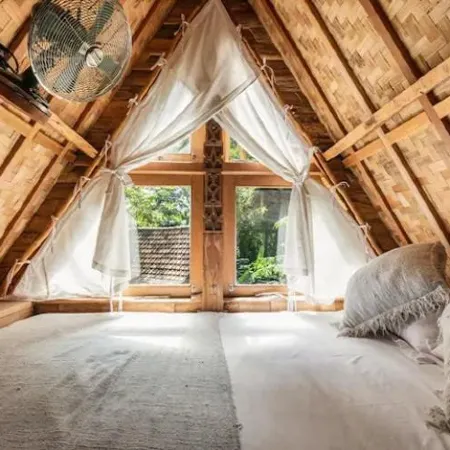 Roots Tree House