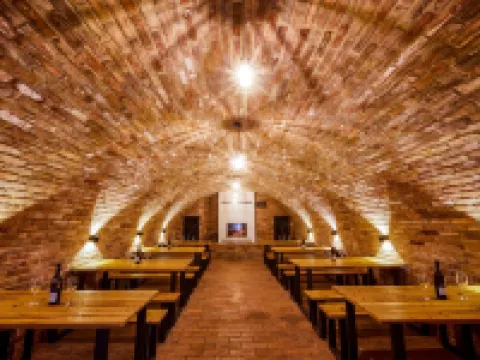 Hotel Ryzlink Hotels in Mikulov