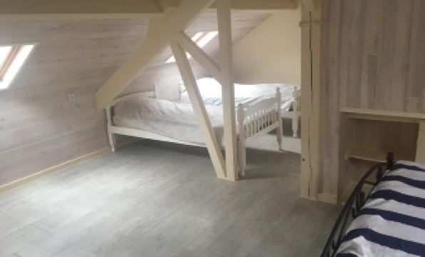 Le petit belge - Housity