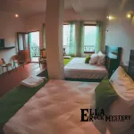 Ella Rock Mystery Guest