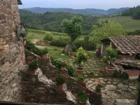 Podere Terreno Alla Via Della Volpaia - Homestays