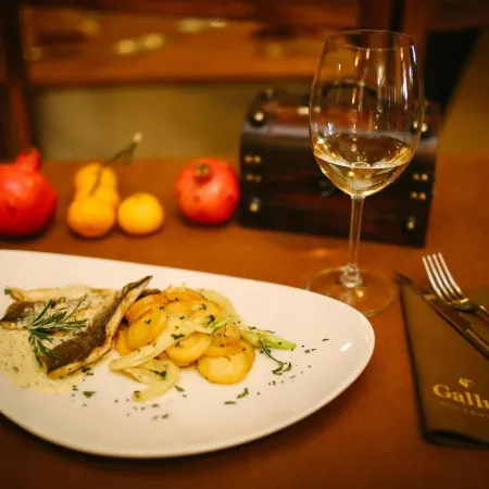 Hotel Gallus