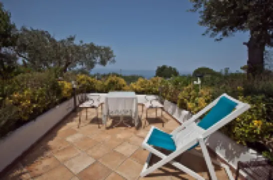 Il Giardino Dell'Arte