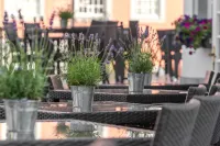 Horchem Hotel-Restaurant-Café-Bar - Wifi