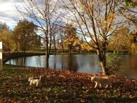 Hotel Chotol Hotels in Horomerice