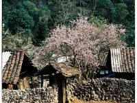 Huyen Tram Guesthouse Hotels in Dong Van